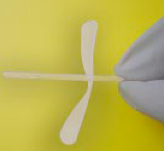 Pセル 実物写真