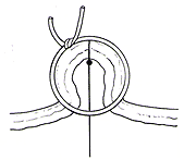 注意点（禁忌）